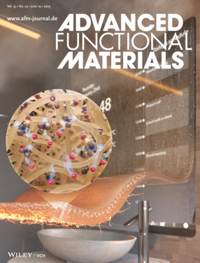 研究成果已發表在國際知名期刊《Advanced Functional Materials》。